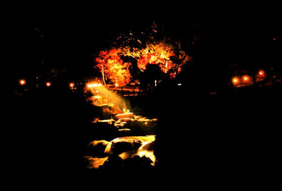 🏞️ 소기 폭포(소기노타키) 이미지 11